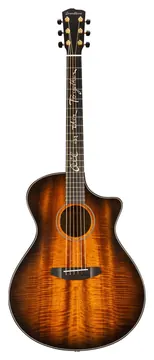 Breedlove Oregon Concerto Jeff Bridges