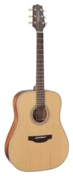 Takamine GD20 NS serie G