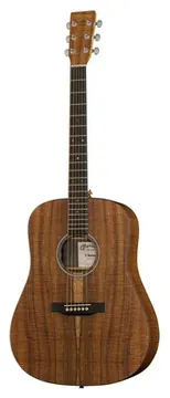 Martin DX1E Koa
