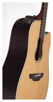 Takamine GB7C Garth Brooks Signature
