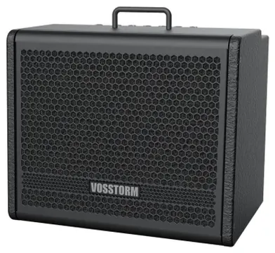 Vosstorm Cubo Guitarra Vosstorm Gx-10 40w Falante 10" (3221)