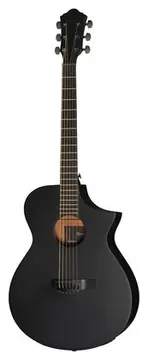 Ibanez AEWC621-BOT
