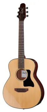 Harley Benton GS-Travel-E Spruce