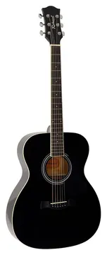 Richwood Artist Series RA-12-BK acoustic guitar