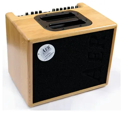 AER Compact 60 60W OAK NATURAL Acoustic Guitar Amplifier