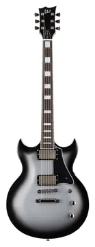 LTD Royal Shiva Signature Bill Kelliher Silver Sunburst