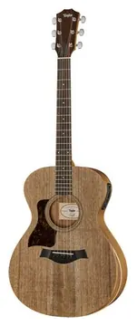 Taylor Academy Series 22e LH