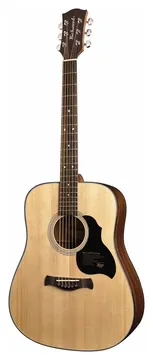 Richwood D40 Westerngitaar