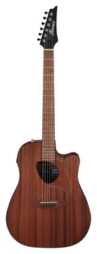 Ibanez ALT20 Altstar Electro-Acoustic Open Pore Natural