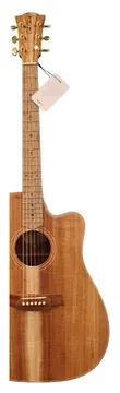 Cole Clark FL2EC-BLBL (AE)