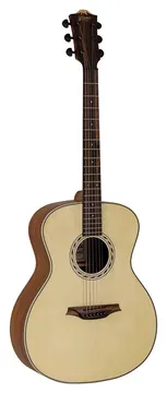 Bromo BAA2 Auditorium Western Gitaar