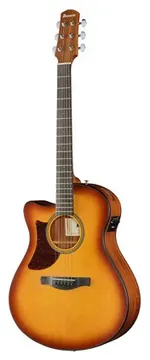 Ibanez AAM50LCE-OLB