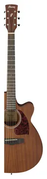 Ibanez PC12MHCE Open Pore Natural