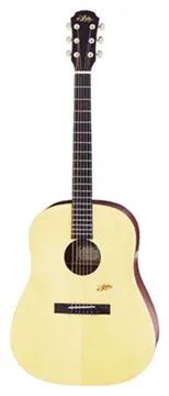 Aria Mayfair Acoustic Guitar MF240MTN