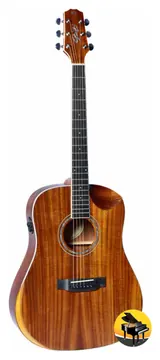 Seizi Neo Akira Half Cutaway MIRAI ? Koa