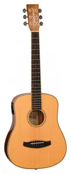 Tanglewood TRX2E