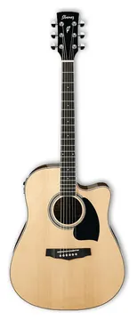 Ibanez PF15ECE NT