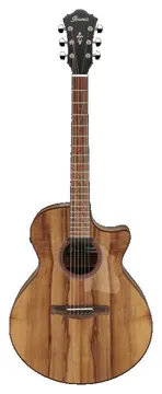 Ibanez Chitarra Acustica Elettrificata Natural Low Gloss