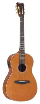 Strinberg SY25 MGS Fosco