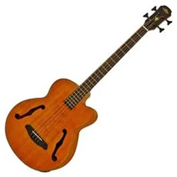 Aria FEB-F2M Medium Scale Bass Stained Brown
