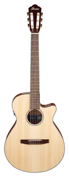 Ibanez AEG50N-NT Natur