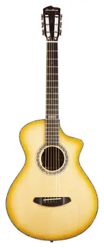 Breedlove Legacy Concertina Ce Shadow
