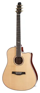 Seagull Artist Mosaic CW HG EQ