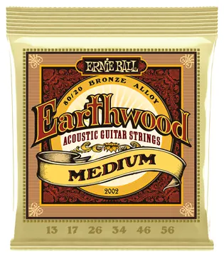 Ernie Ball Earthwood Medium Acoustic Guitar Strings