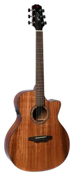 Seizi Ryu Cutaway Kaizen – Koa Gloss Acompanha Bag