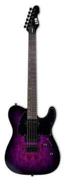ESP/LTD TE-200DX Purple Burst