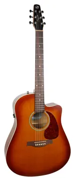 Godin Seagull Entourage Rustic Cw Q1