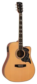Michael Aco Freebird Folk VMF420 ST - Satin Top