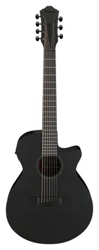 Ibanez AEG721-BOT Black Out
