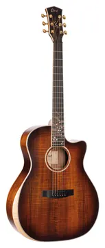 Cort The Black Tree Light Burst