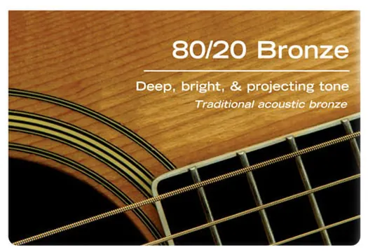 D'Addario EJ11| 80/20 Bronze Acoustic Guitar String Set | Light | 12-53