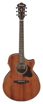 Ibanez AE140-OPN