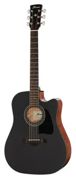 Ibanez AW247CE-WKH