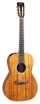 Takamine EF407