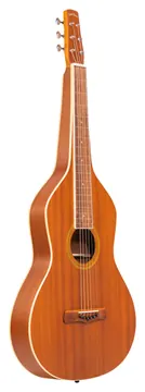 Gold TONE GT-WB Weissenborn-gitaar met sapele bovenblad en hoes