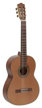 Salvador Cortez CC-06 klassiek gitaar
