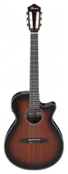 Ibanez Series AEG74N-MHS Nylon
