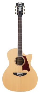 D'Angelico Premier Gramercy Natural
