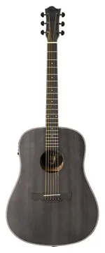 Tagima TBW-100 Folk NON-CUTAWAY EQ Aco OP (bk)