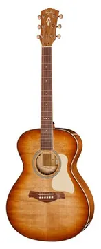 Taylor Ben Harper Gold Label 512e SEB