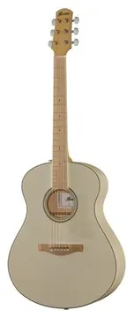 Ibanez AAM370E-OAW