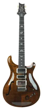 PRS Special 22 Semi Hollow Tiger Eye