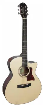 Giannini Gac Std Ceq Grand Auditorium Cutaway