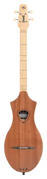 Seagull M4 Mahogany EQ semi-akoestisch