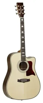 Tanglewood Sundance TW1000CE