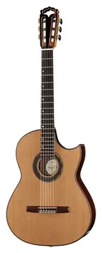 Hanika Fusion PC w/Pickup
